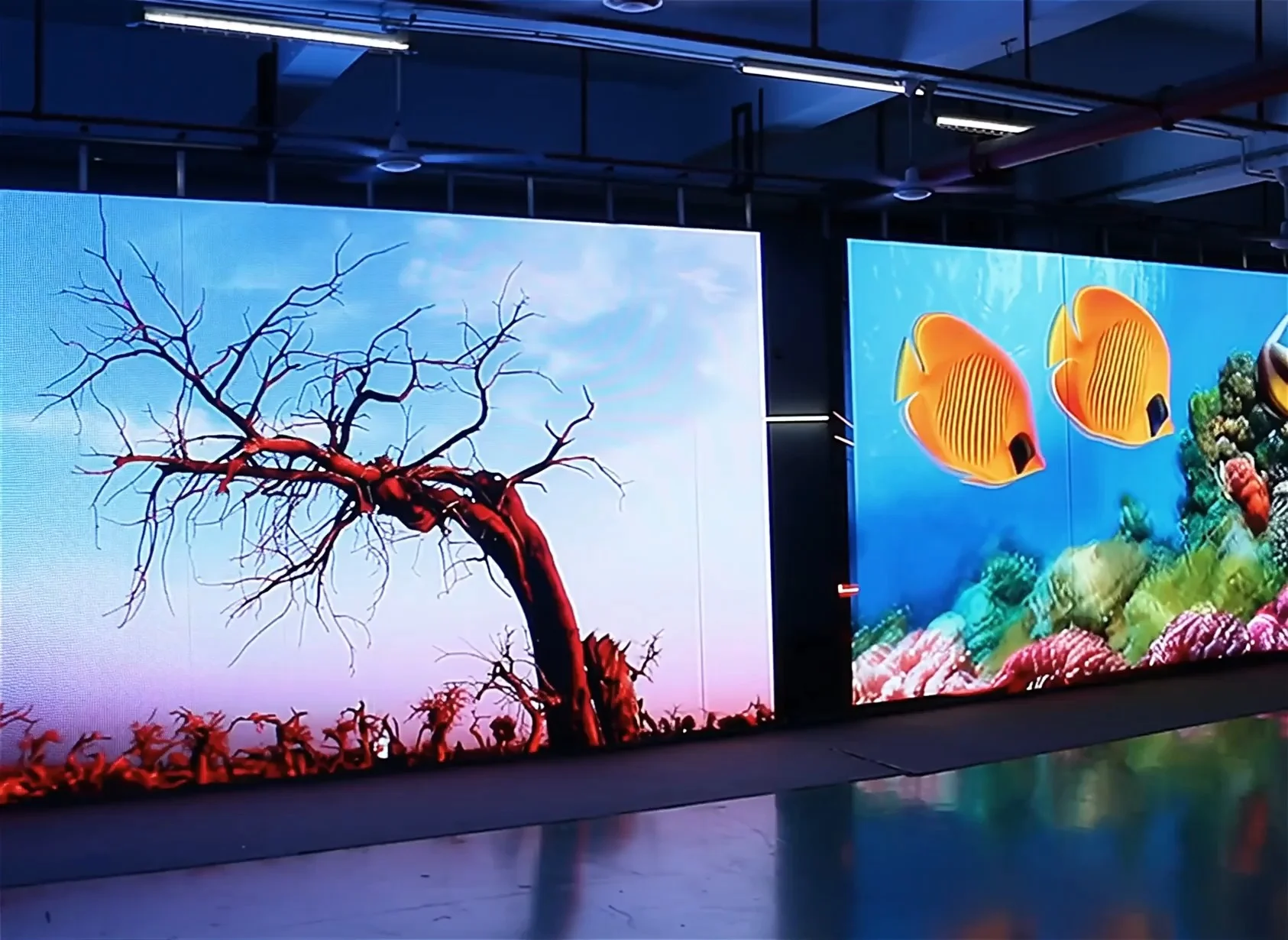 Экраны и LED