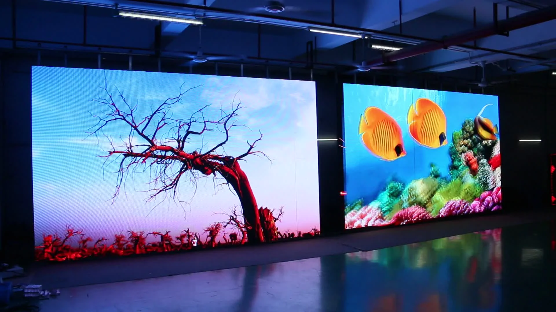 Экраны и LED